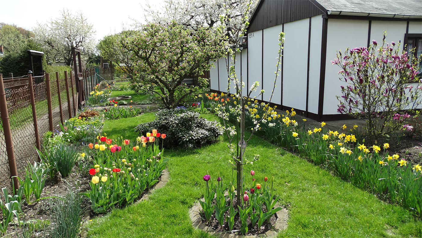 9_Kleingaerten_2_Fruehling-im-Kleingarten