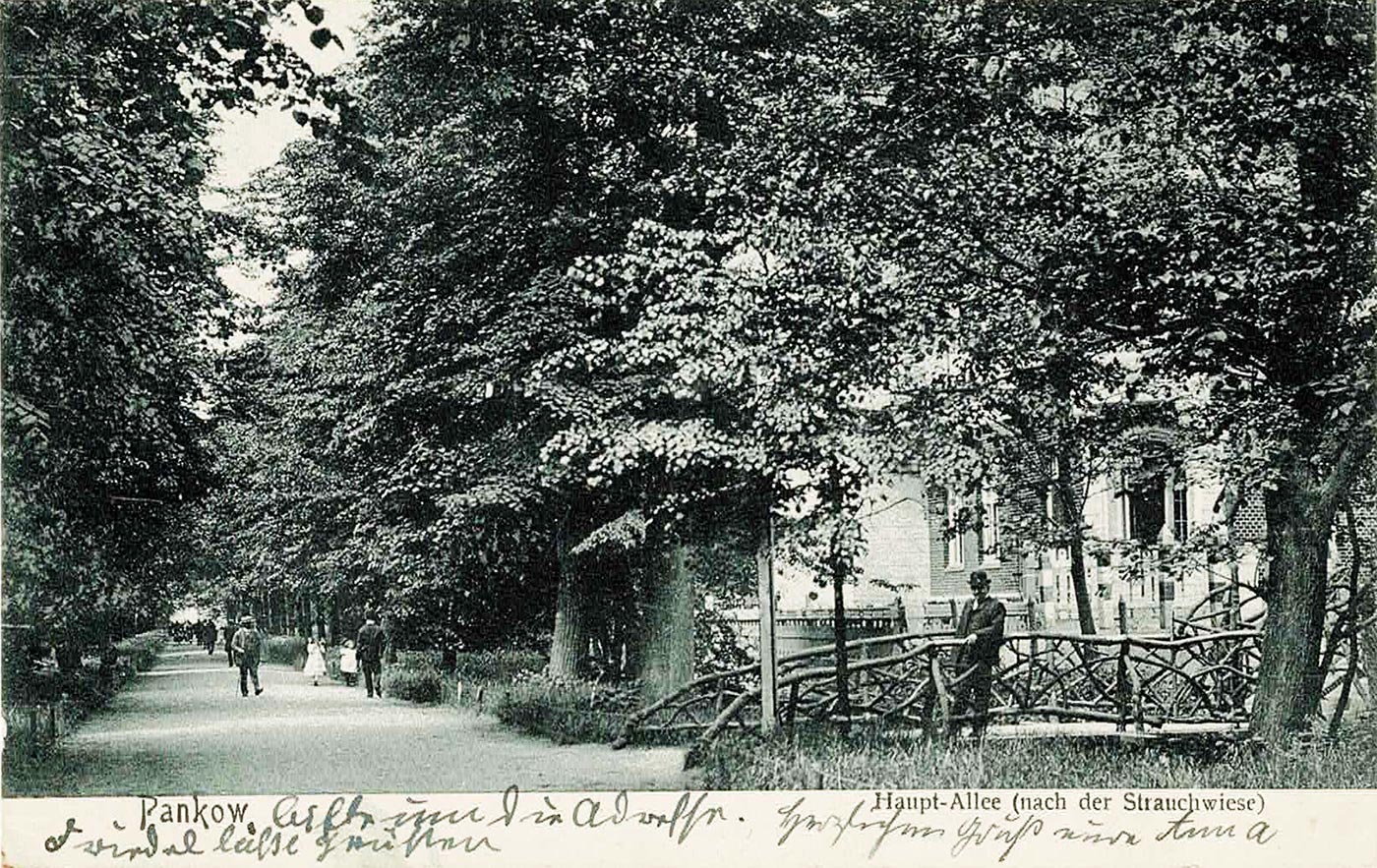 Haupt-Allee in Niederschönhausen, Postkarte